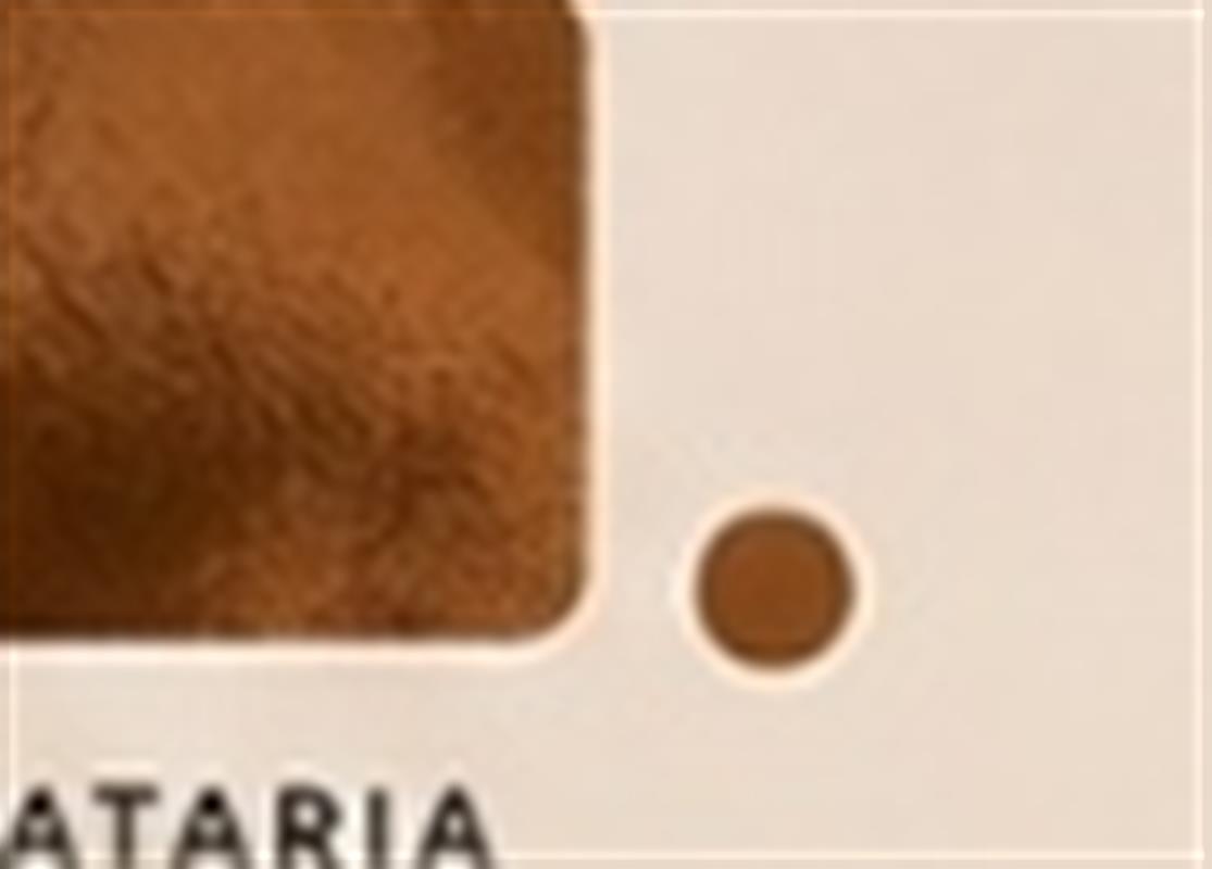 Textura & Trama