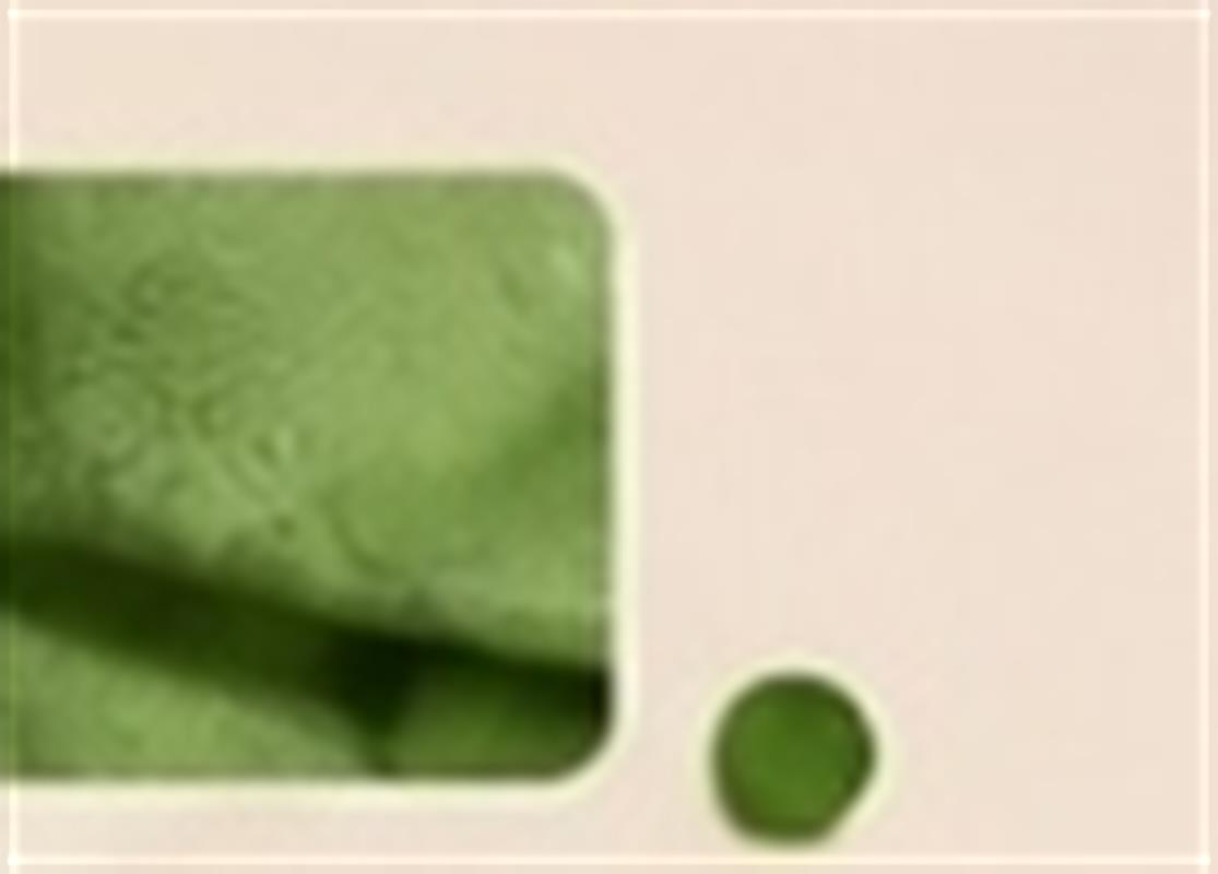 Textura & Trama